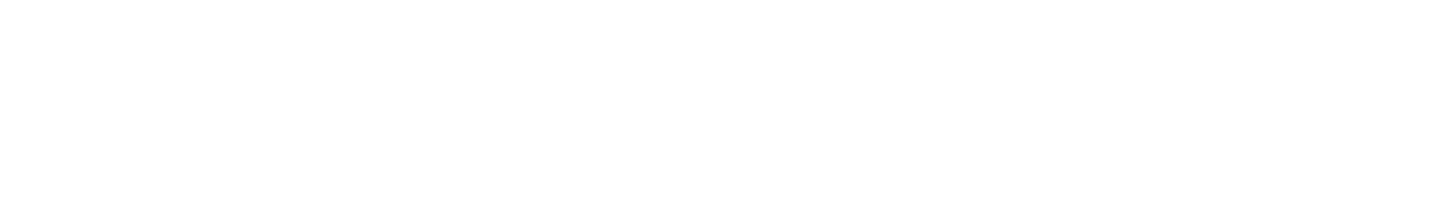 Nielsen Consumer LLC